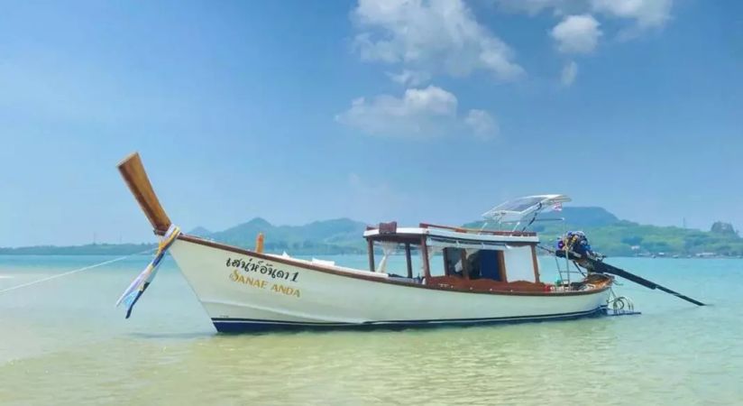 Custom Built 36 | EXECUTIVE LONG TAIL