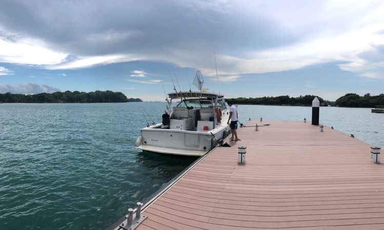 Wellcraft 330 | Artemis 1