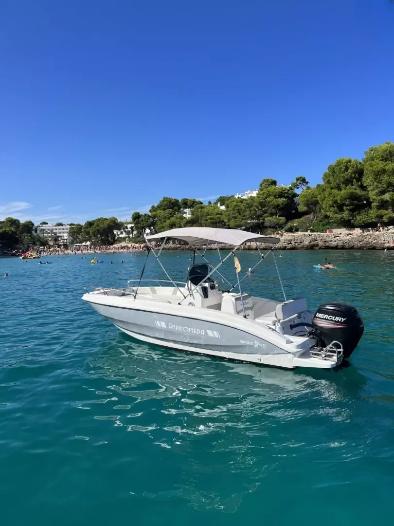Andromeda 635 | Asle