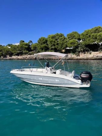 Andromeda 635 | Asle