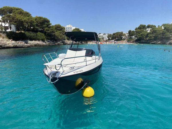 Trimarchi 85 | Fly Gold