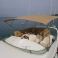 Jeanneau Prestige 36 | Lady Lota