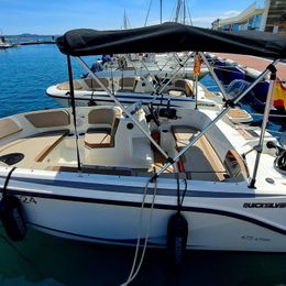 Quicksilver 475 aXess | 24