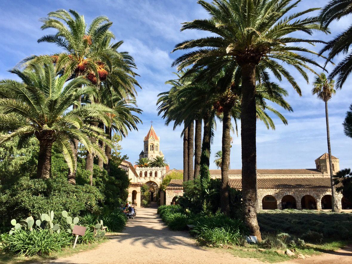 Sea Ray SDX 270 | Luna