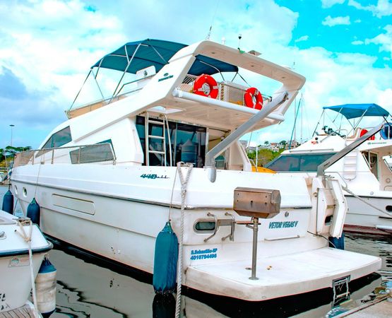 Intermarine 440 | Vetor Vegas 5