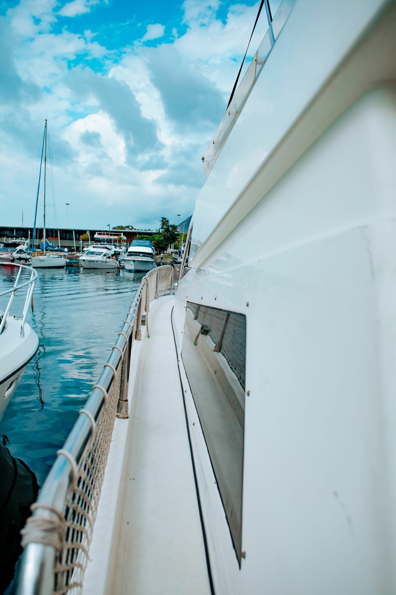 Intermarine 440 | Vetor Vegas 5