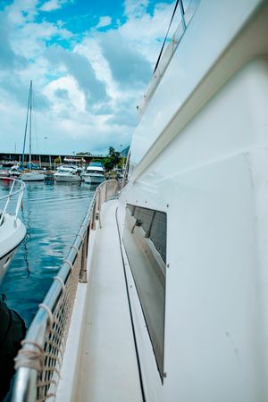 Intermarine 440 | Vetor Vegas 5