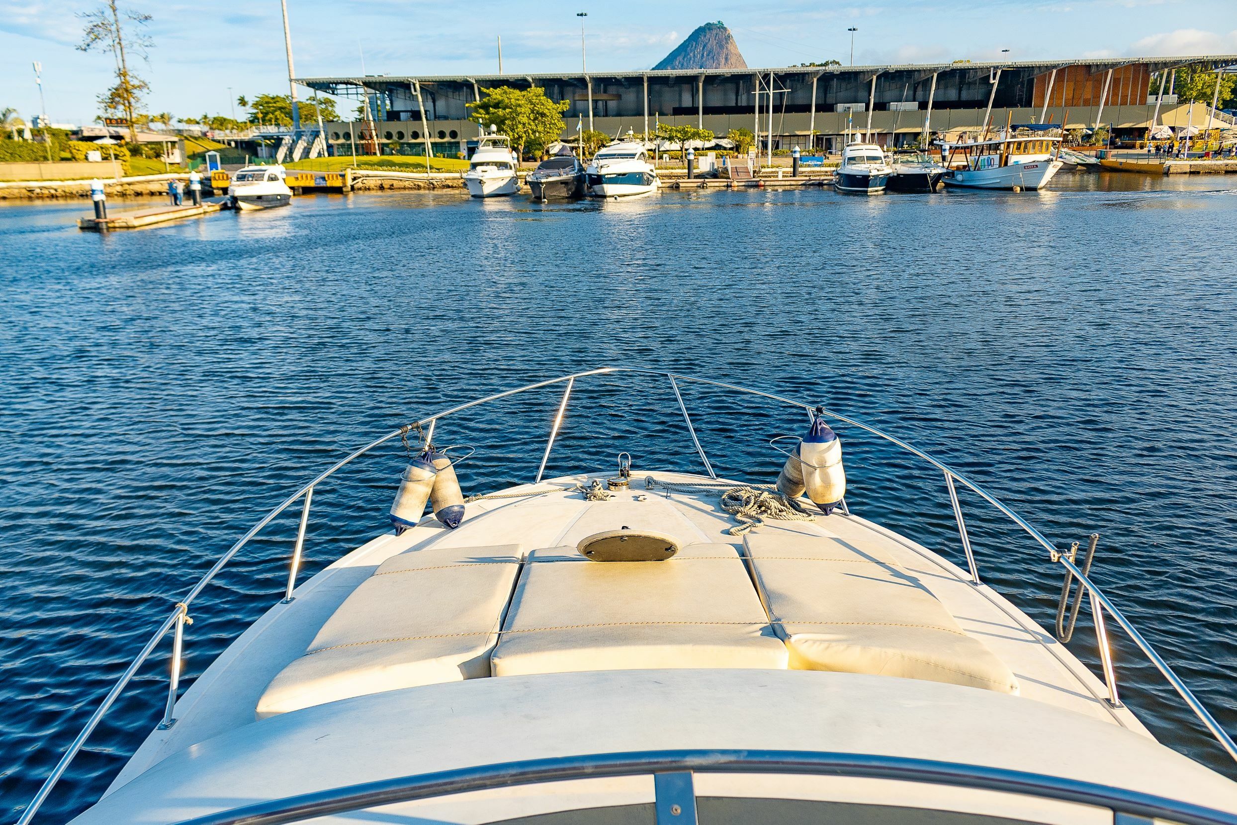 Ocean Pro 50 | Grand Raray
