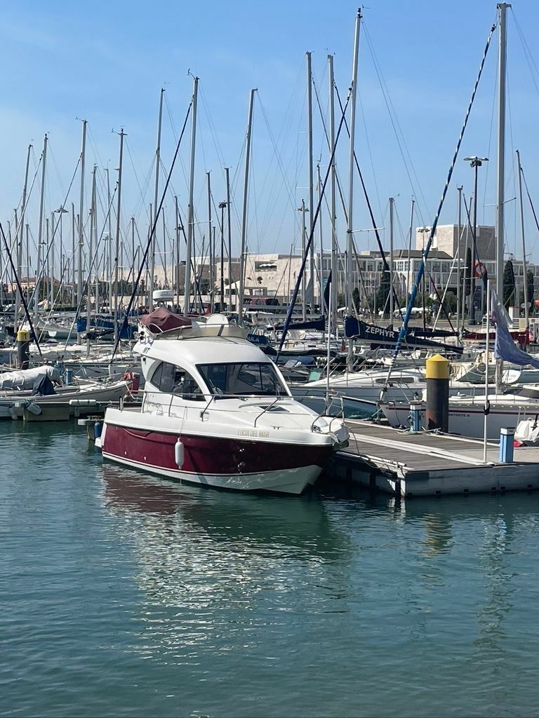 Starfisher 27 | Lucia Del Mar