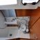 Jeanneau Sun Odyssey 440 | Milky Way