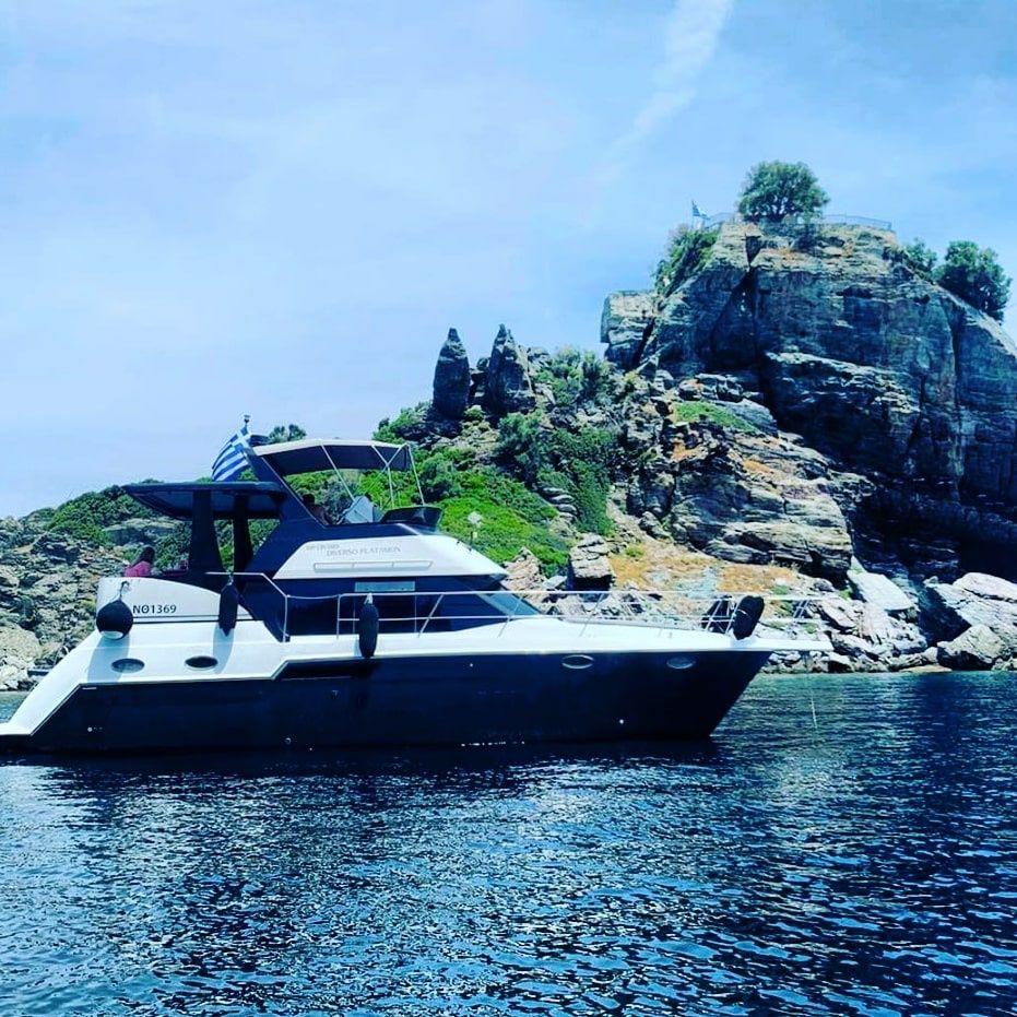 Carver 356 | Sofia K