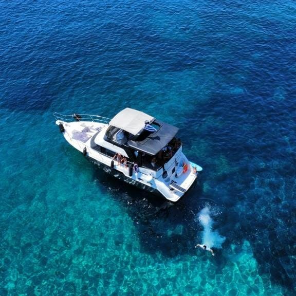 Carver 356 | Sofia K