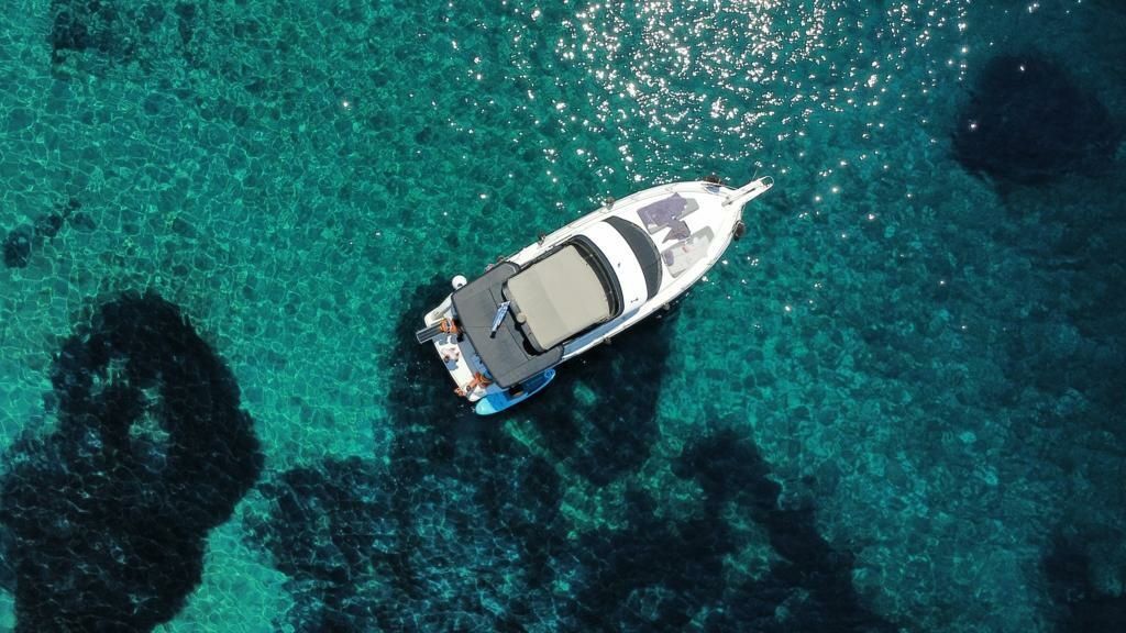 Carver 356 | Sofia K