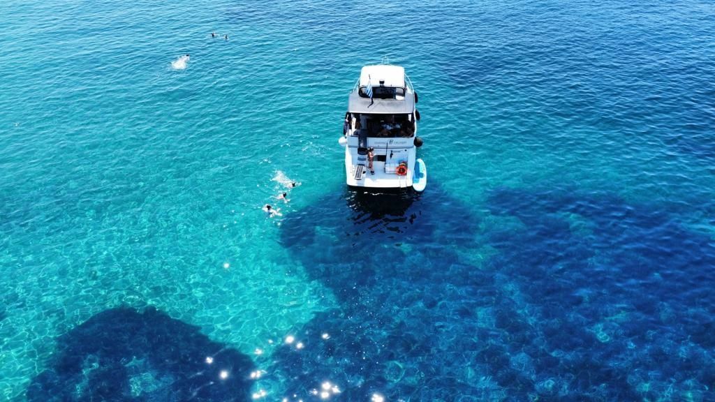 Carver 356 | Sofia K