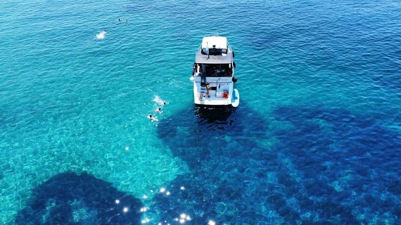 Carver 356 | Sofia K