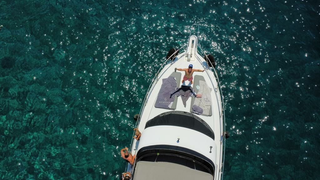 Carver 356 | Sofia K