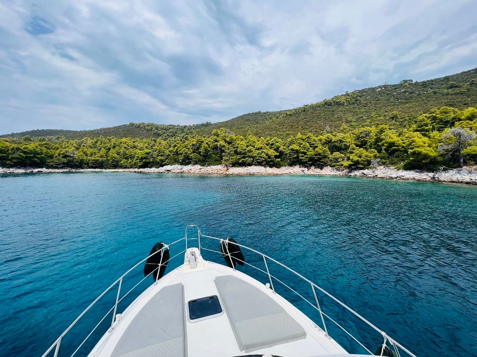 Carver 356 | Sofia K