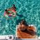 Jeanneau Cap Camarat 10.5 WA | Mammouth