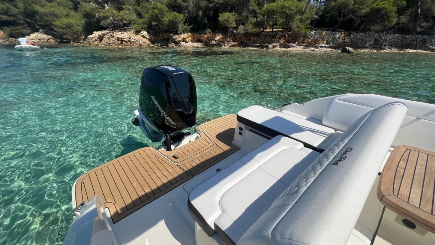 Sea Ray 255 | Epicure