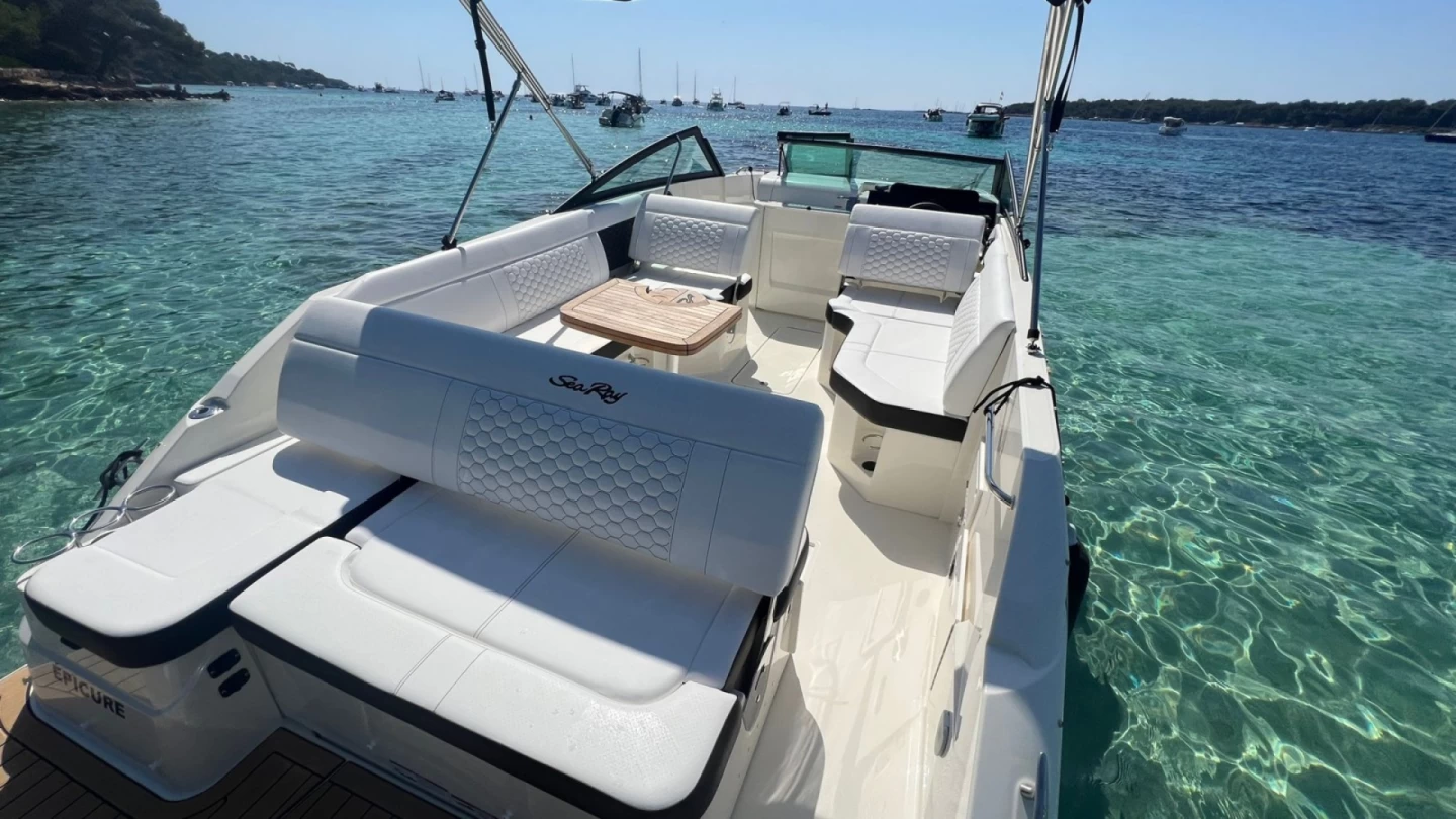 Sea Ray 255 | Epicure