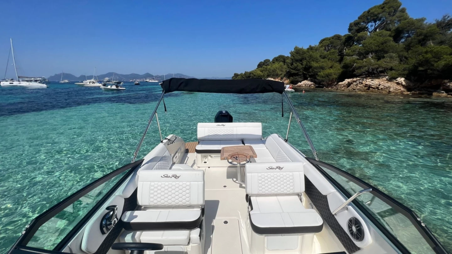 Sea Ray 255 | Epicure