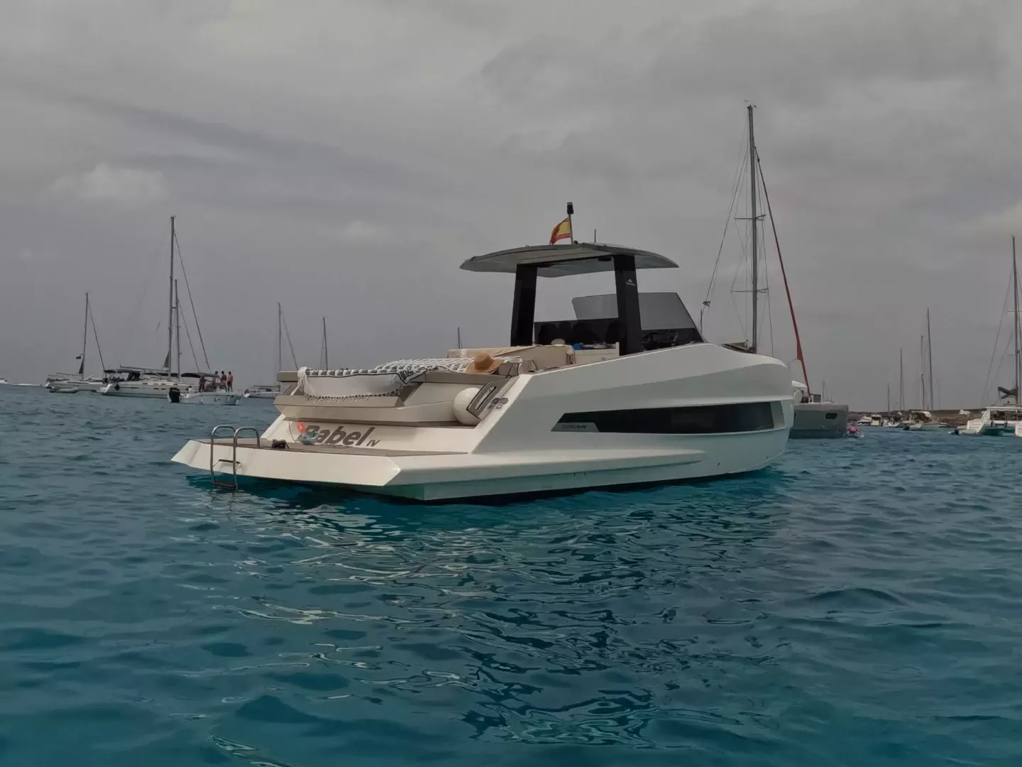 Astondoa 377 | Pfeffer