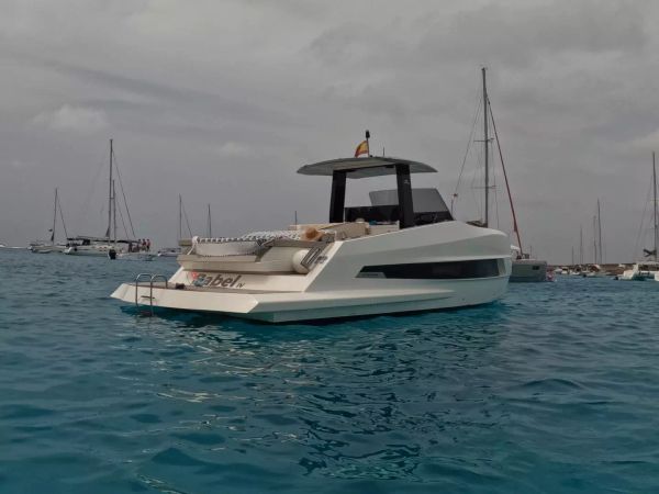 Astondoa 377 | Pfeffer