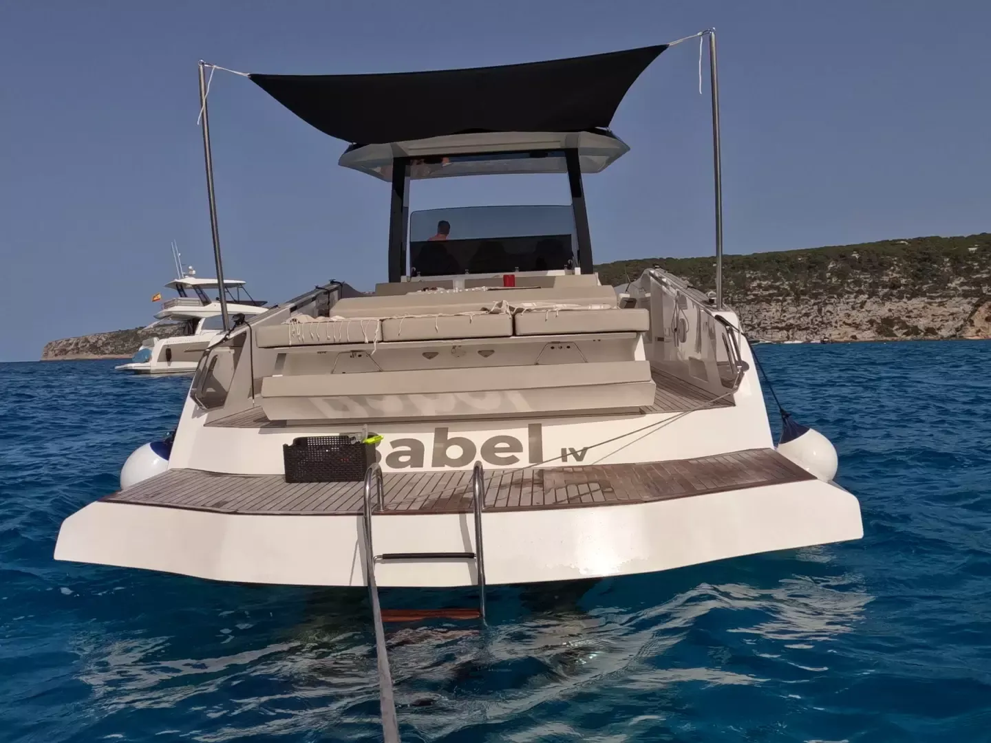 Astondoa 377 | Pfeffer