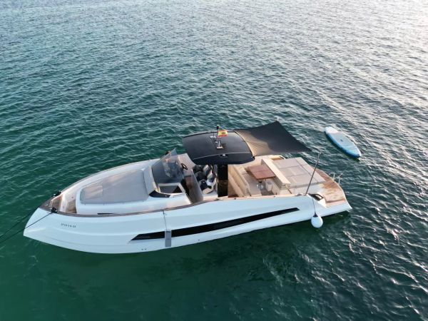 Astondoa 377 | Pfeffer