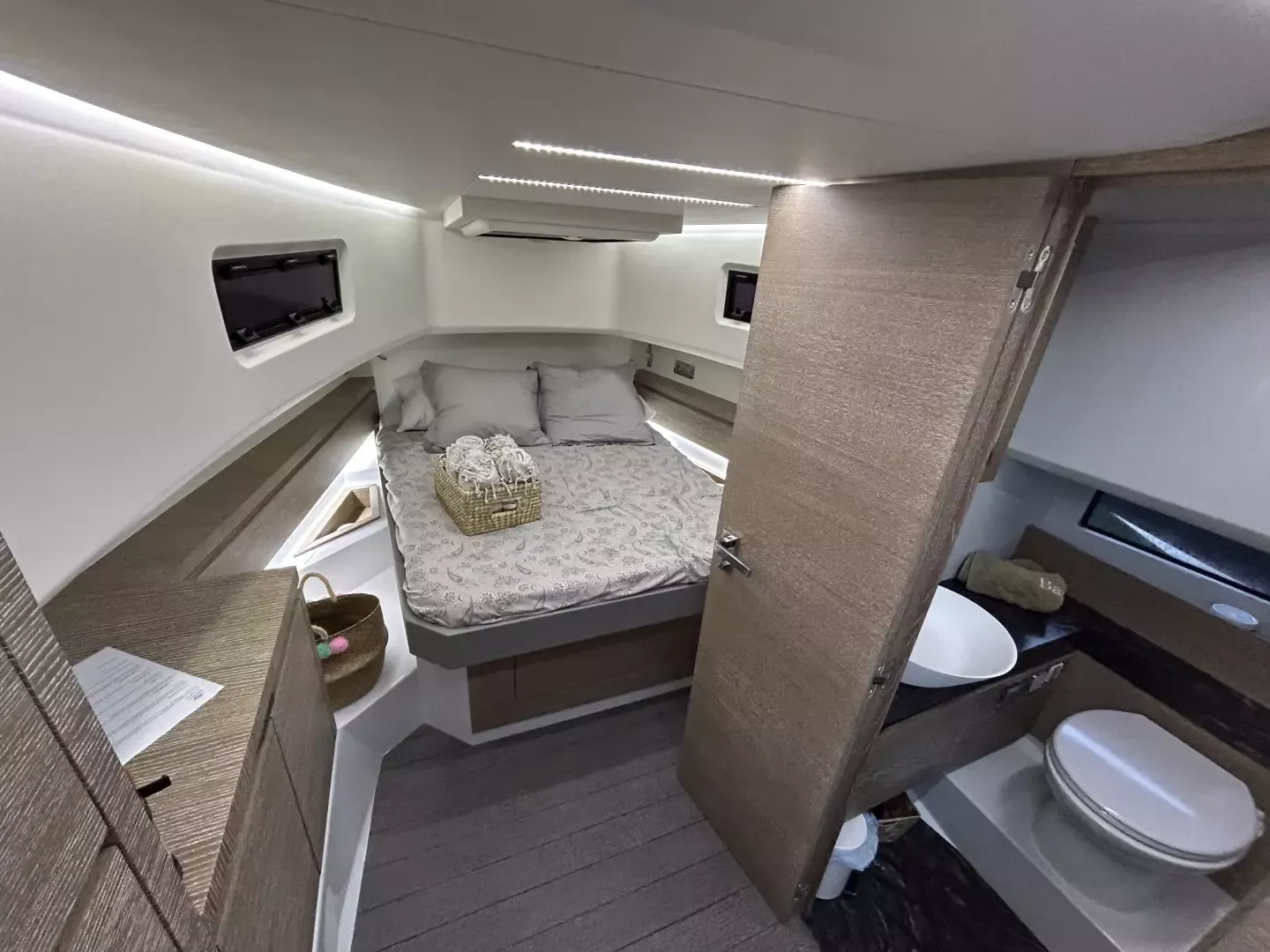 Astondoa 377 | Pfeffer