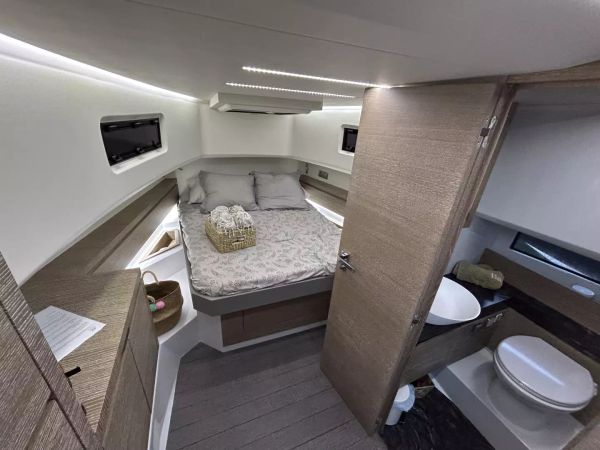 Astondoa 377 | Pfeffer