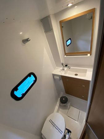 Bali Catspace | Wiseas