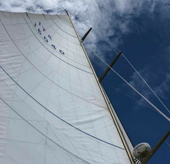 Carlini Sciarelli | Clan 2