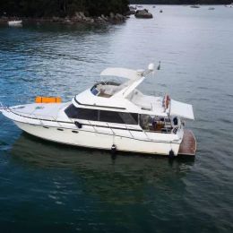 Technomarine T50 | Matuza