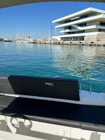 Remus 525 SC | Texas