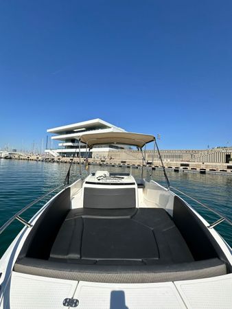 Remus 525 SC | Texas