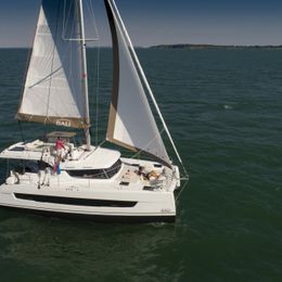 Bali Catspace | Little Monkey