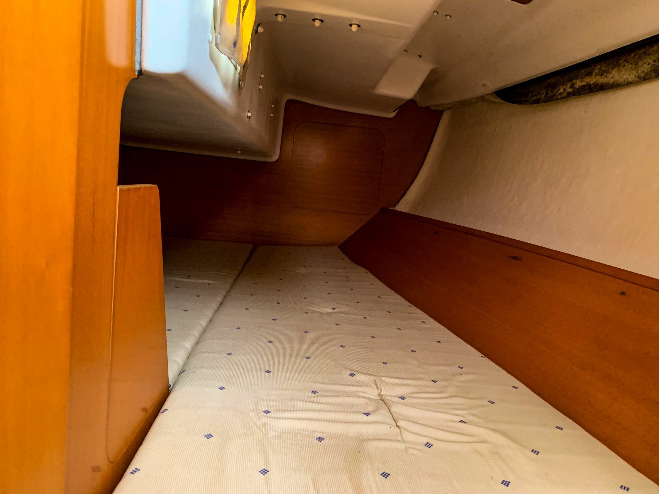 Beneteau First 31.7 | Salicorne