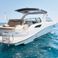 Sea Ray 350 Sundancer | No Limit