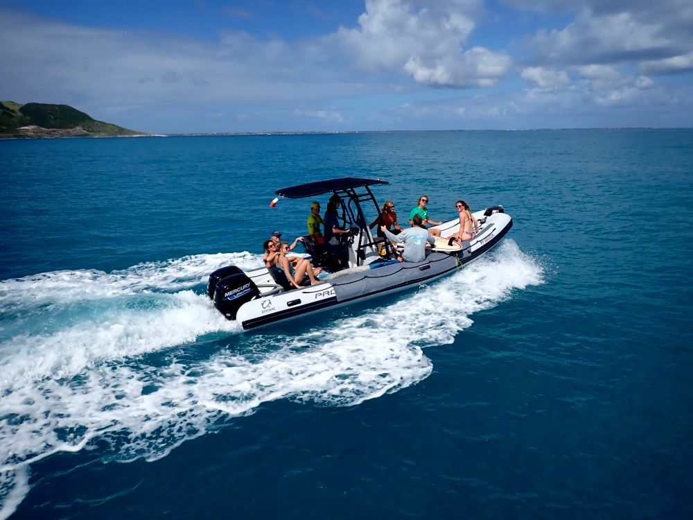 Zodiac Pro 7 | Wind Adventure