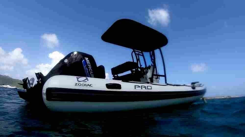 Zodiac Pro 7 | Wind Adventure