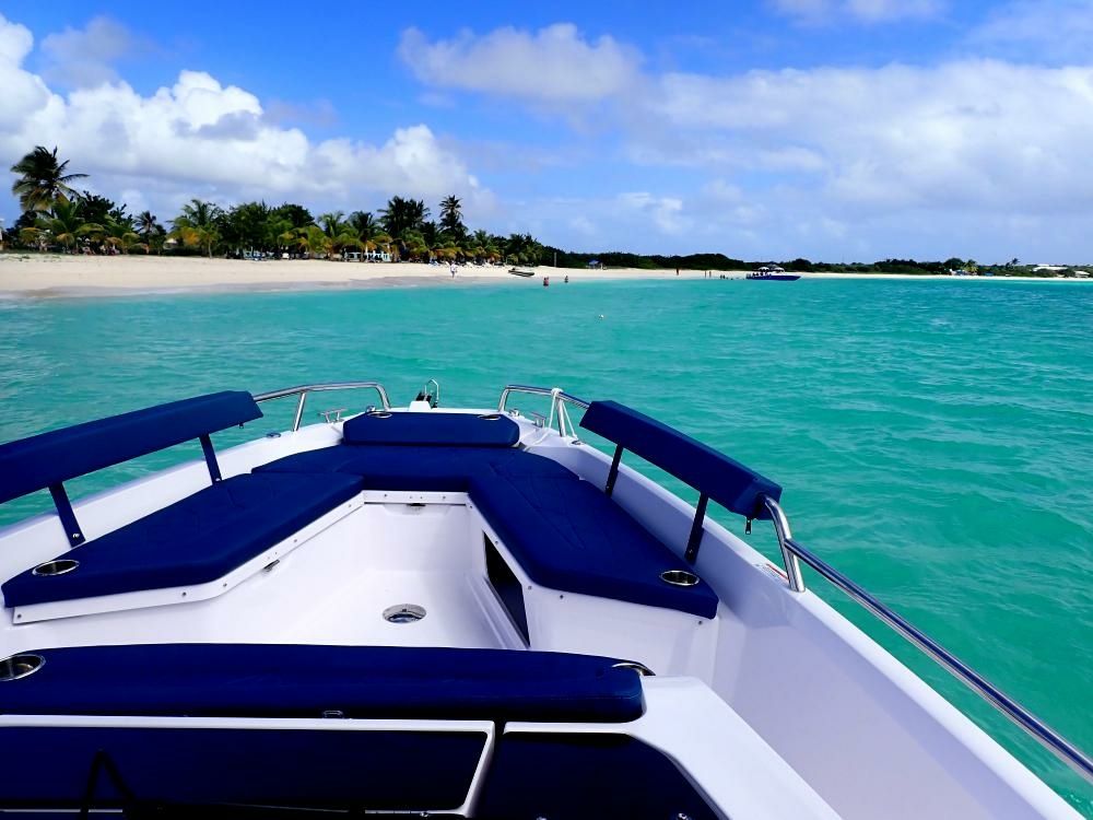 Axopar 29 Suntop | Sunwind