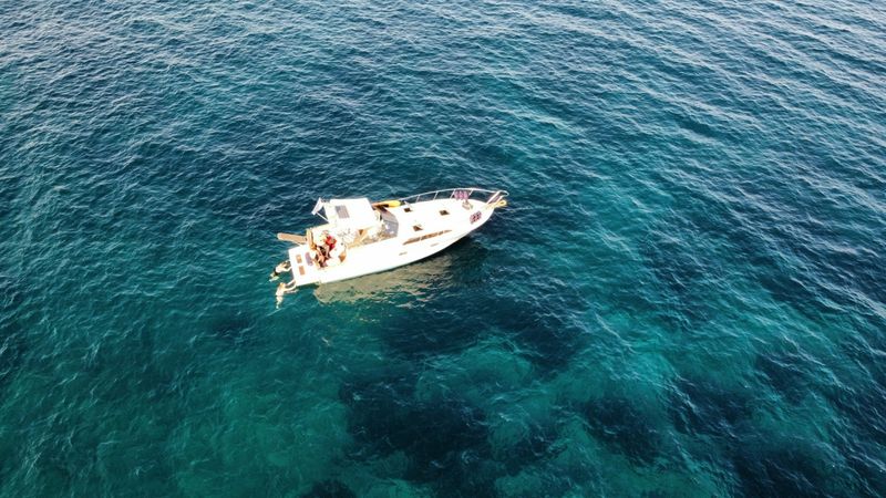 Bayliner 39 | C. Diamond