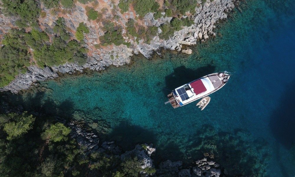 Custom Built 62 | Milda