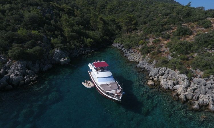 Custom Built 62 | Milda