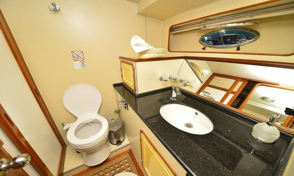 Custom Built 62 | Milda