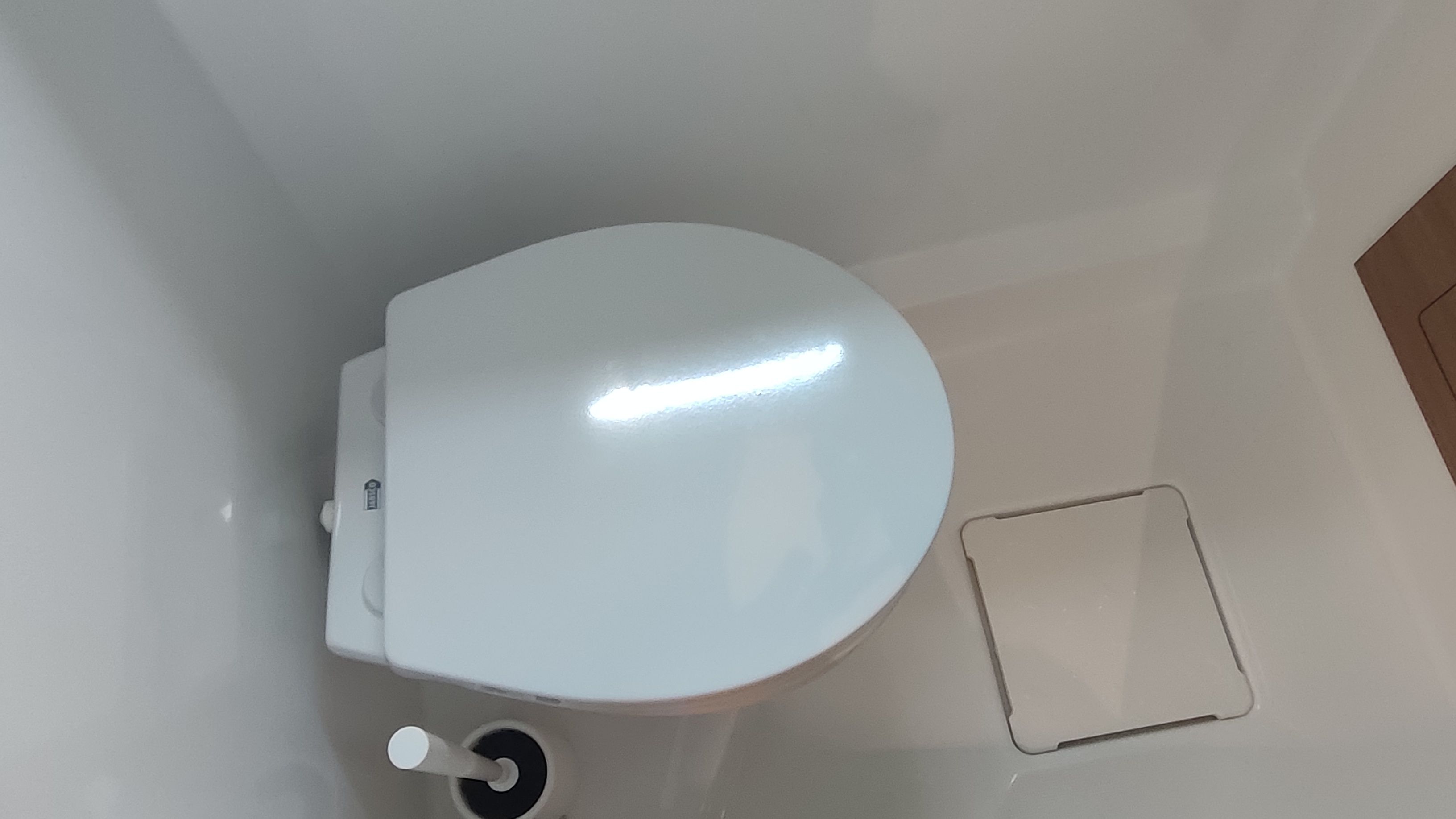 Bali Catspace | Kane