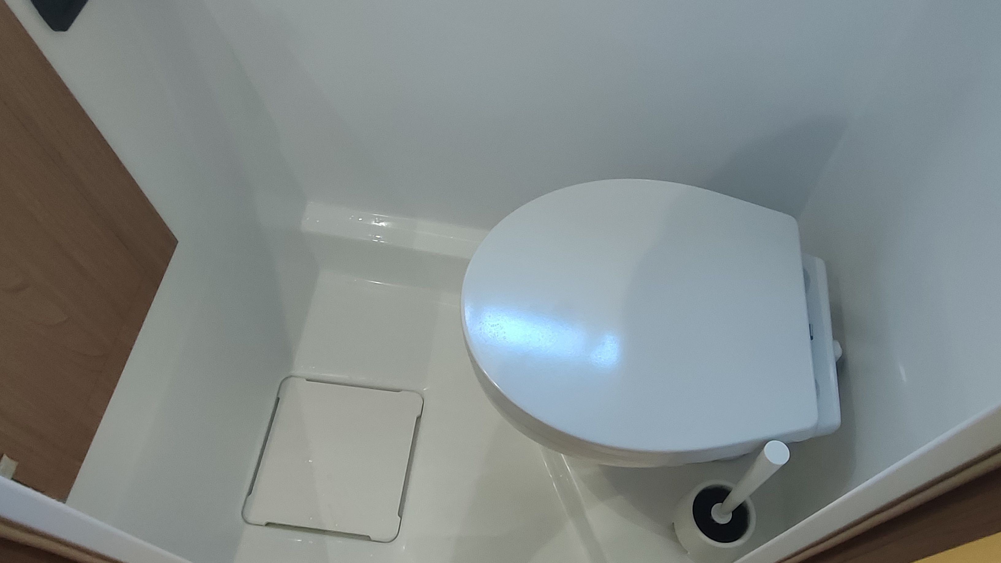 Bali Catspace | Kane