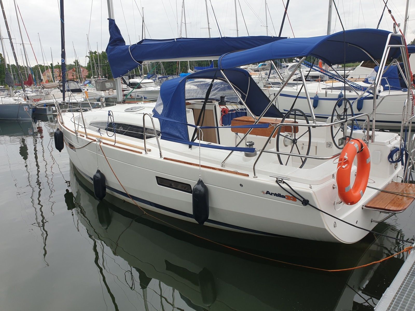 Antila 33 | Felicita