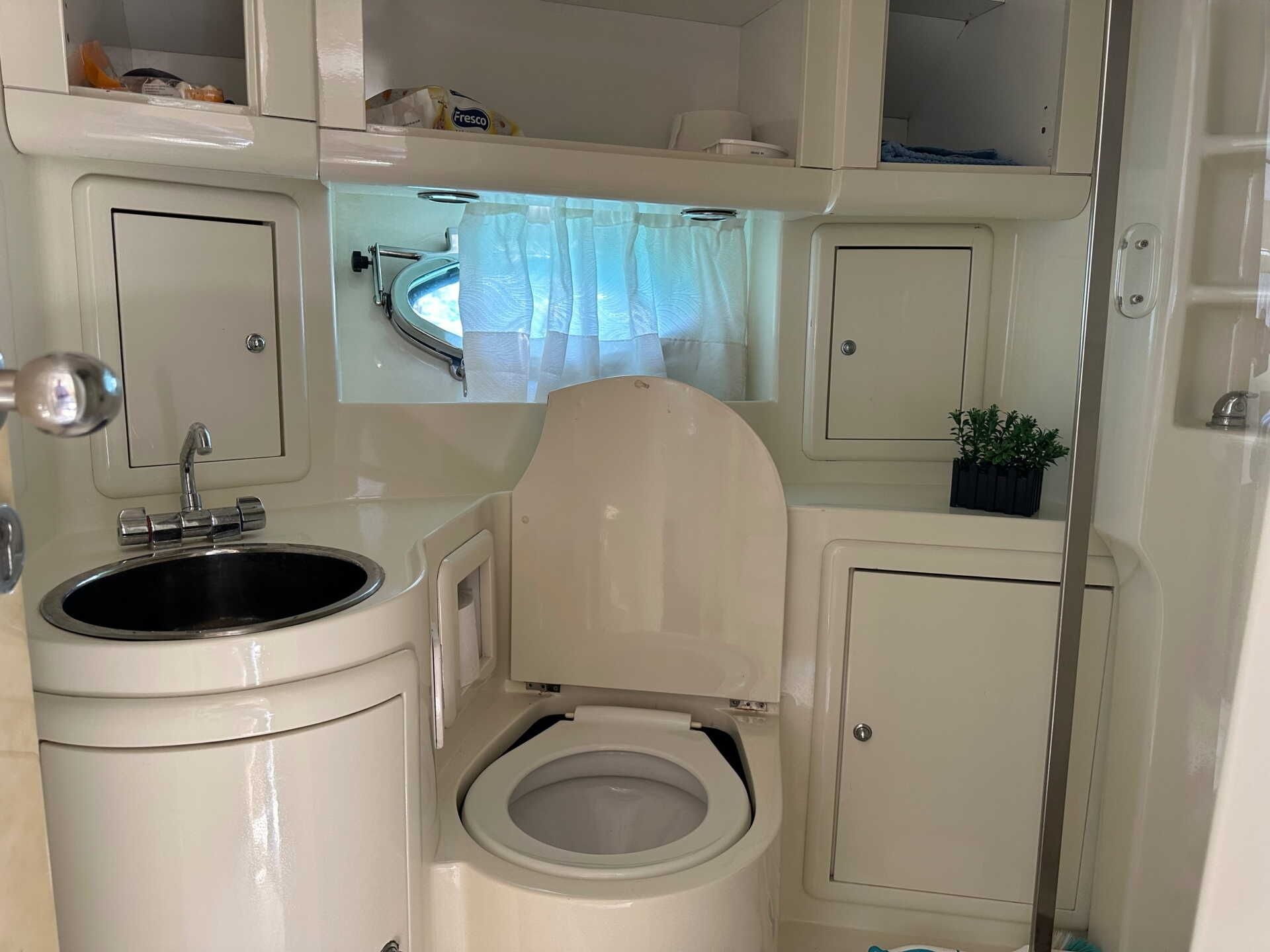 Colombo 43 | Freedom